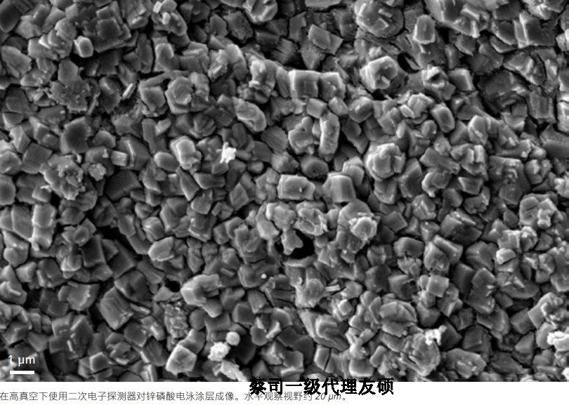 石柱蔡司石柱扫描电镜