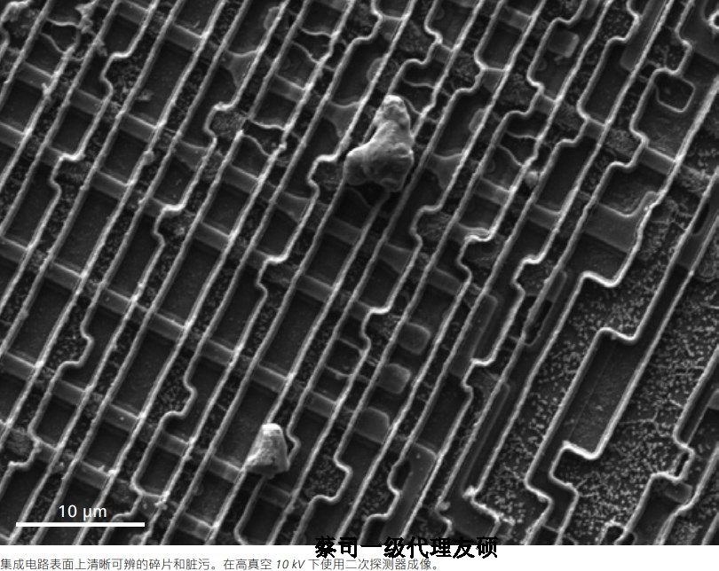 石柱蔡司石柱扫描电镜EVO