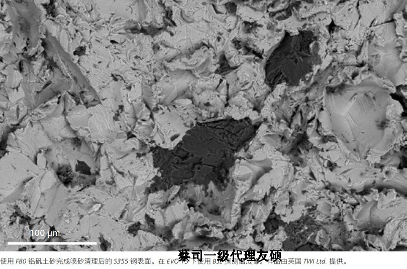 石柱蔡司石柱扫描电镜EVO