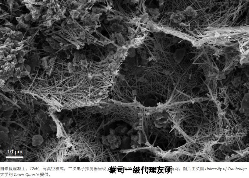 石柱蔡司石柱扫描电镜