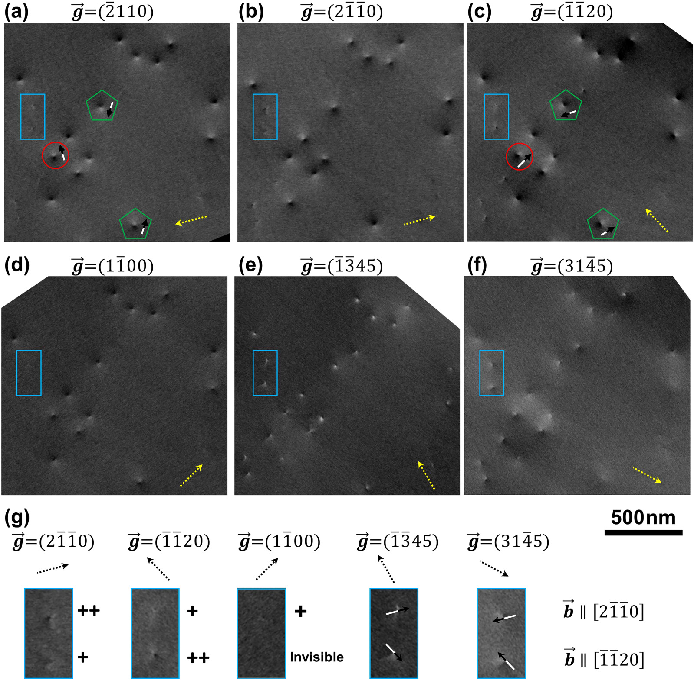 场发射石柱扫描电镜