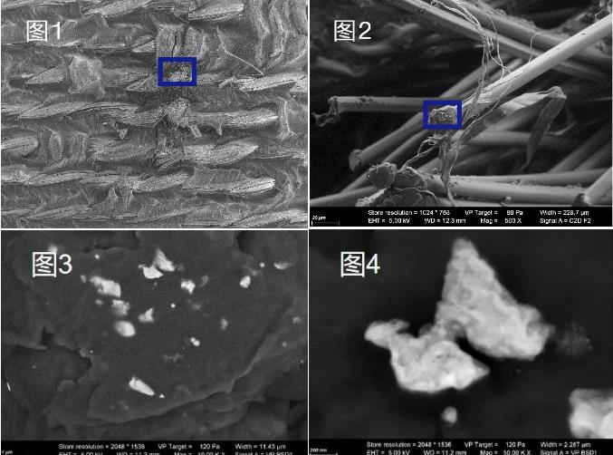石柱蔡司石柱扫描电镜