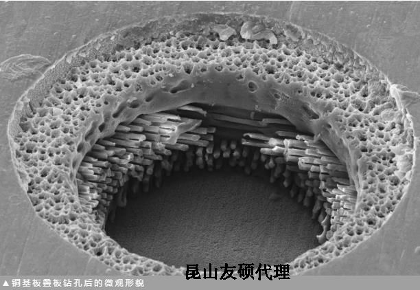 石柱蔡司石柱扫描电镜